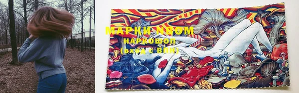 сатива Бронницы