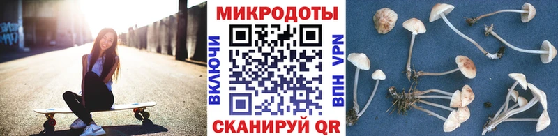 купить наркоту  Чебоксары  Галлюциногенные грибы Cubensis 